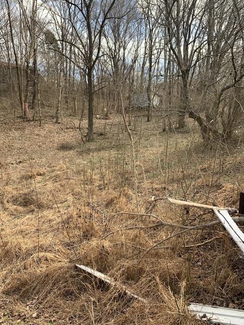 72 Rogers Rd, Moss, TN 38575 photo 5