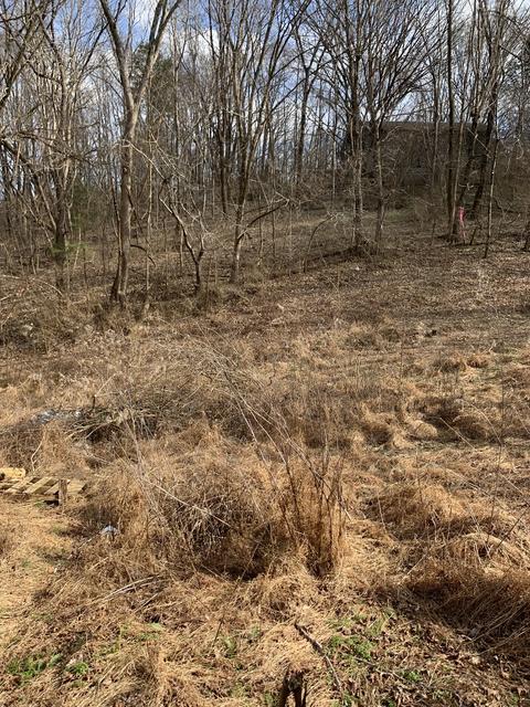 72 Rogers Rd, Moss, TN 38575 photo 2