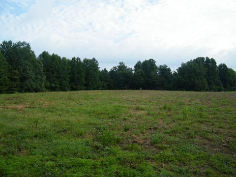0 Tilford Ln, Westmoreland, TN 37186