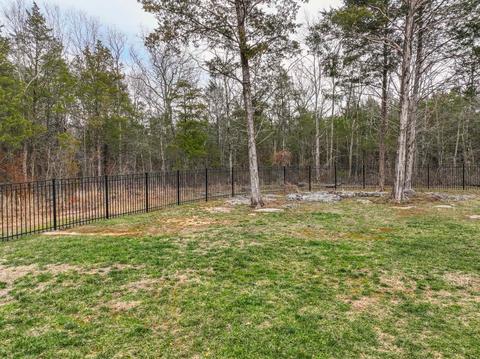 233 Amazonway Rdg, Murfreesboro, TN 37130 photo 53