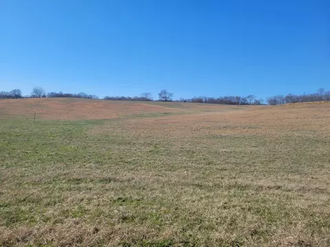 9 Horn Springs Rd, Lebanon, TN 37087
