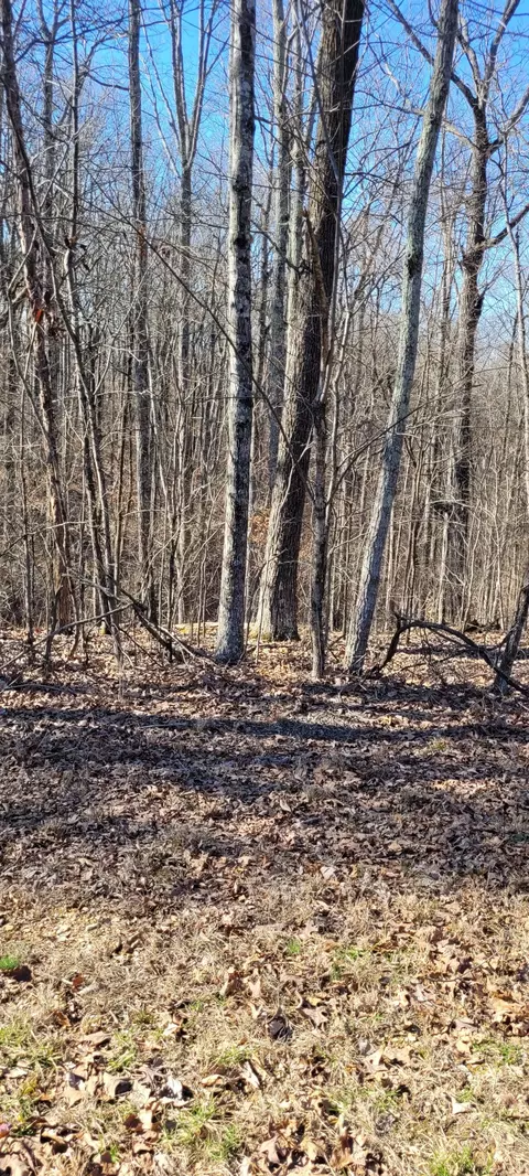 0 Eagle Shore Dr, Dover, TN 37058 photo 3