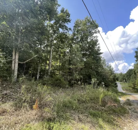 0 Fantasy Dr, Lyles, TN 37098