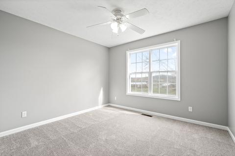 353 Wade Rd, Crofton, KY 42217 photo 23