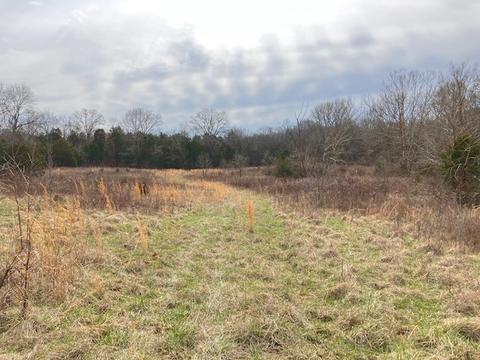 3151 Pickles Ln, Spring Hill, TN 37174 photo 22