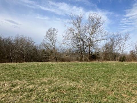 3151 Pickles Ln, Spring Hill, TN 37174 photo 23