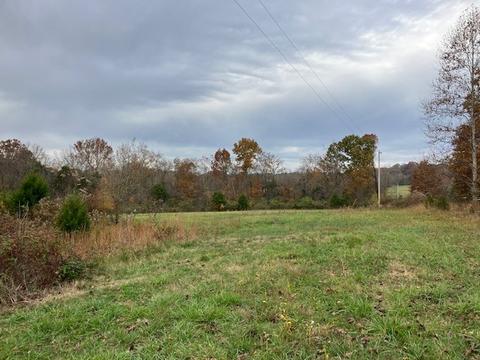 3151 Pickles Ln, Spring Hill, TN 37174 photo 12