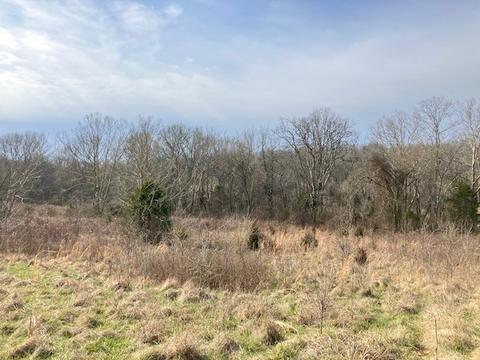 3151 Pickles Ln, Spring Hill, TN 37174 photo 21