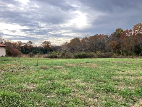 3151 Pickles Ln, Spring Hill, TN 37174 photo 9