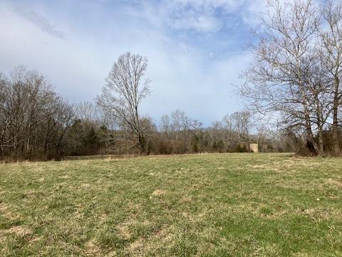 3151 Pickles Ln, Spring Hill, TN 37174 photo 11