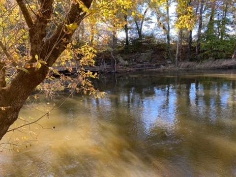 853 Cortner Rd, Normandy, TN 37360 photo 2