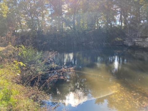 853 Cortner Rd, Normandy, TN 37360 photo 32
