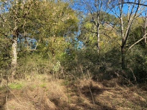 853 Cortner Rd, Normandy, TN 37360 photo 38