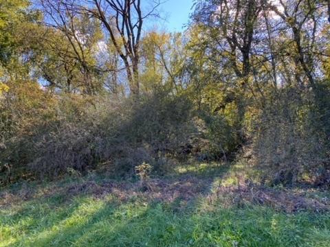 853 Cortner Rd, Normandy, TN 37360 photo 14