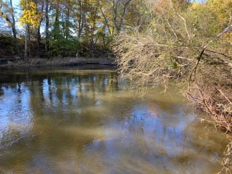 853 Cortner Rd, Normandy, TN 37360 photo 42