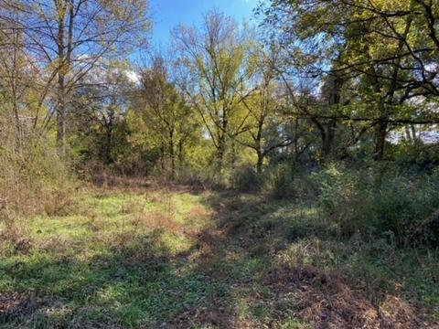853 Cortner Rd, Normandy, TN 37360 photo 36