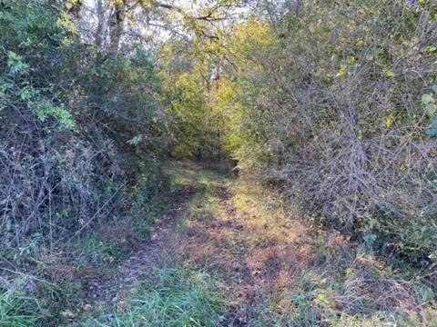 853 Cortner Rd, Normandy, TN 37360 photo 17