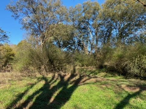 853 Cortner Rd, Normandy, TN 37360 photo 34