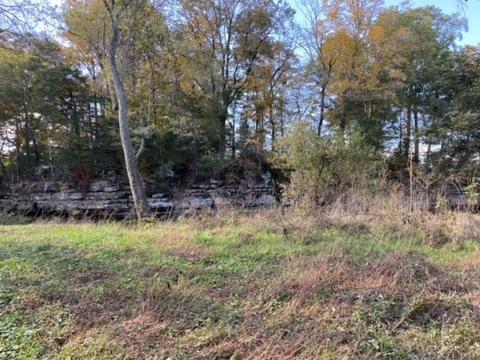 853 Cortner Rd, Normandy, TN 37360 photo 29