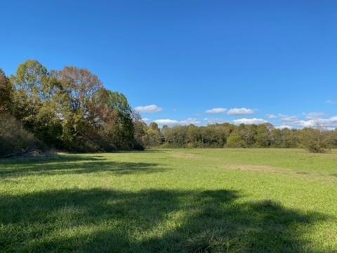 853 Cortner Rd, Normandy, TN 37360 photo 15