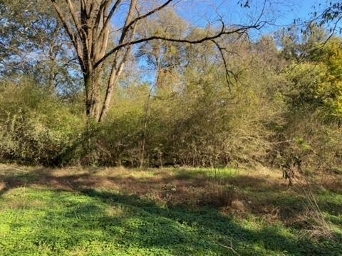 853 Cortner Rd, Normandy, TN 37360 photo 35