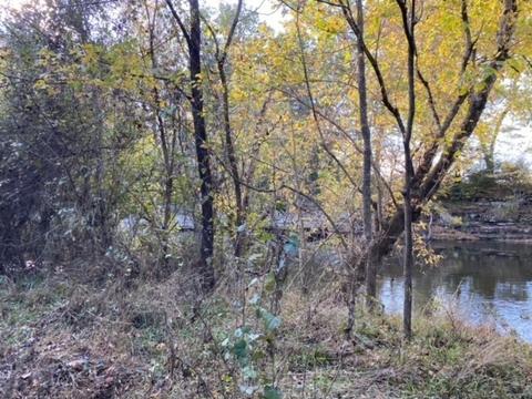 853 Cortner Rd, Normandy, TN 37360 photo 20