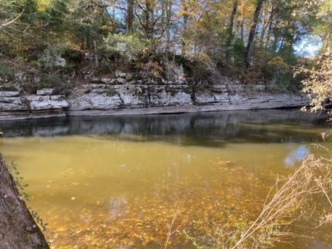 853 Cortner Rd, Normandy, TN 37360 photo 33