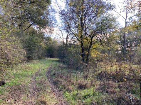 853 Cortner Rd, Normandy, TN 37360 photo 24
