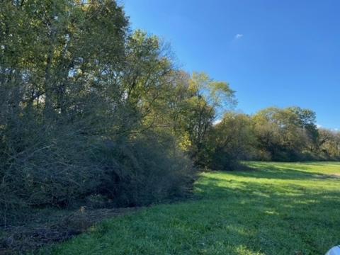 853 Cortner Rd, Normandy, TN 37360 photo 13