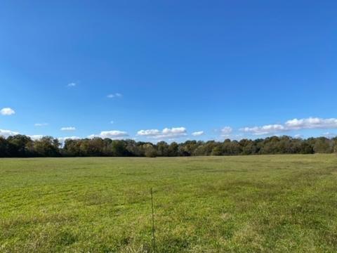 853 Cortner Rd, Normandy, TN 37360 photo 11