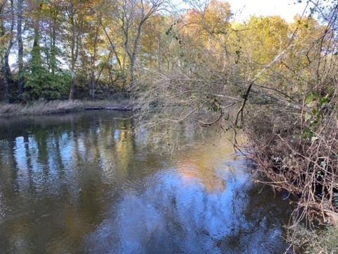 853 Cortner Rd, Normandy, TN 37360 photo 22