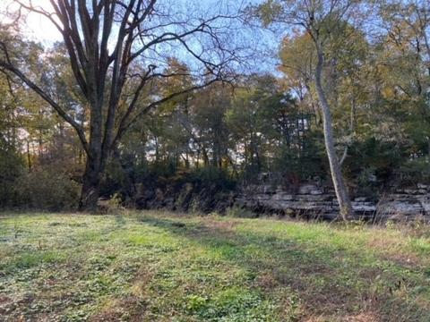 853 Cortner Rd, Normandy, TN 37360 photo 28