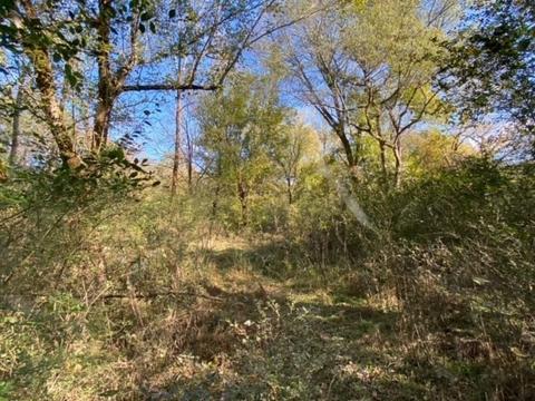 853 Cortner Rd, Normandy, TN 37360 photo 40