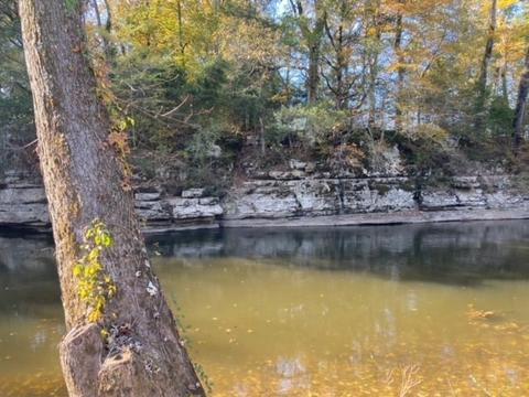 853 Cortner Rd, Normandy, TN 37360 photo 31