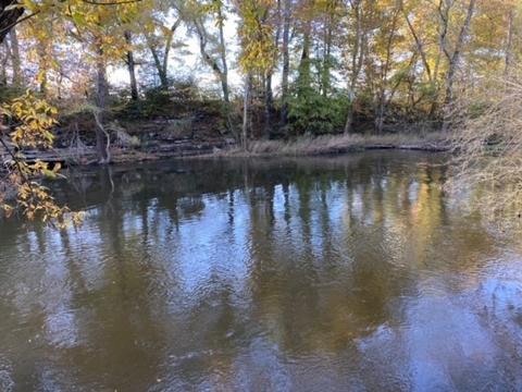 853 Cortner Rd, Normandy, TN 37360 photo 23