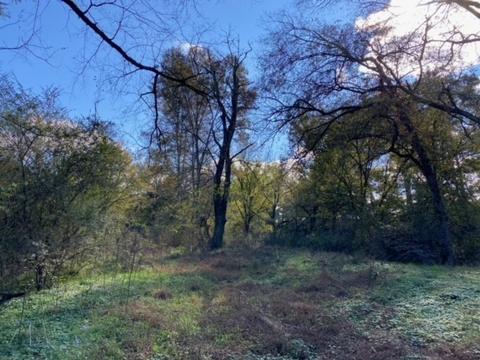 853 Cortner Rd, Normandy, TN 37360 photo 27