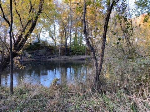853 Cortner Rd, Normandy, TN 37360 photo 21