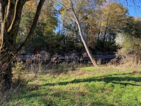 853 Cortner Rd, Normandy, TN 37360 photo 41
