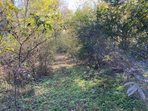 853 Cortner Rd, Normandy, TN 37360 photo 39