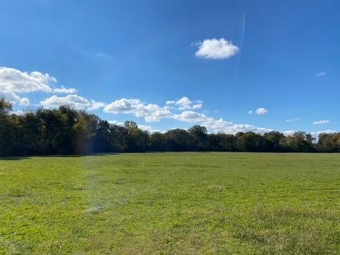 853 Cortner Rd, Normandy, TN 37360 photo 10