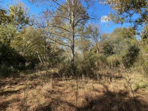 853 Cortner Rd, Normandy, TN 37360 photo 37