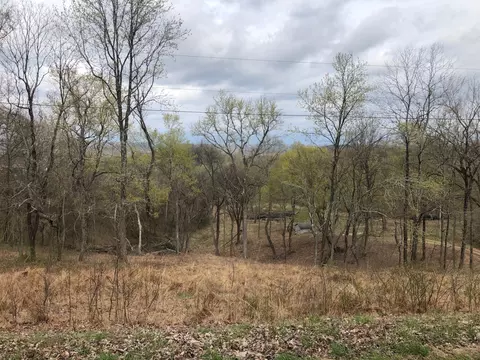 0 Garner Rd, Mount Pleasant, TN 38474 photo 5