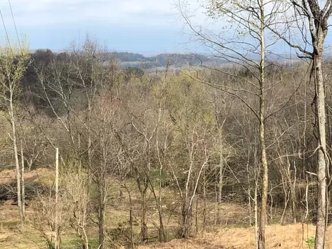0 Garner Rd, Mount Pleasant, TN 38474 photo 6