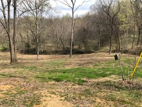 0 Garner Rd, Mount Pleasant, TN 38474 photo 2