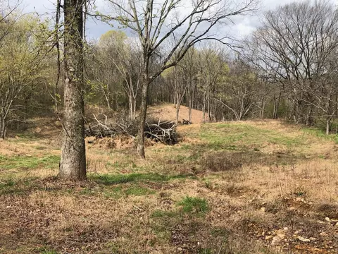 0 Garner Rd, Mount Pleasant, TN 38474 photo 3