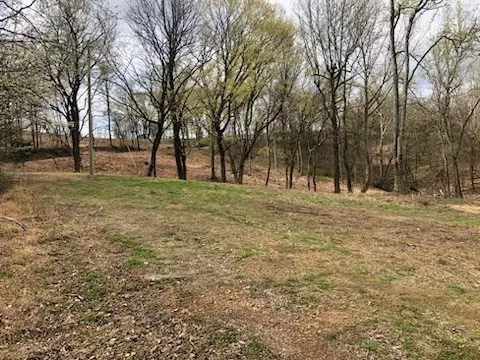 0 Garner Rd, Mount Pleasant, TN 38474