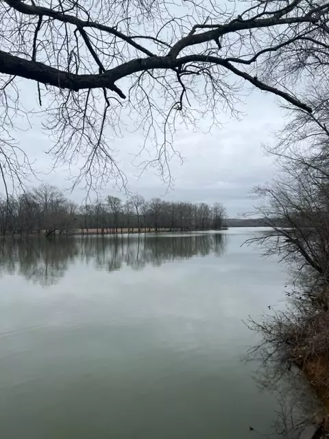0 Ben Ray Loop, Clifton, TN 38425