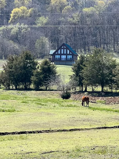3165 Browning Branch Rd, Bethpage, TN 37022