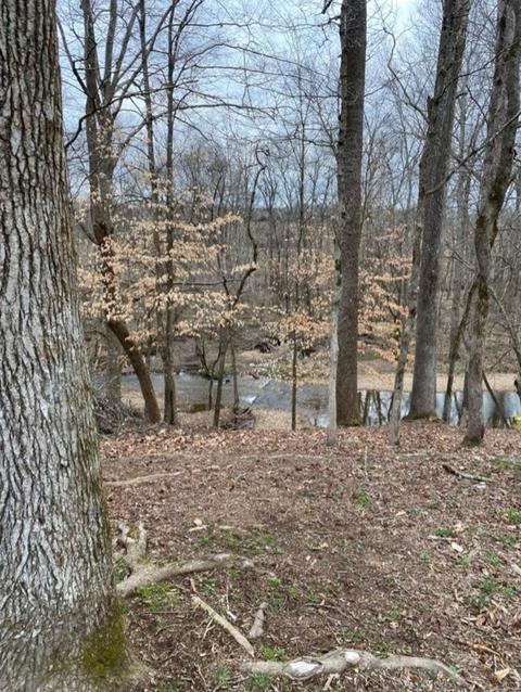 5670 Pleasant View Rd, Morrison, TN 37357 photo 11