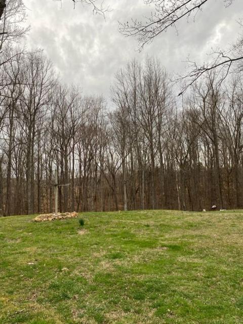 5670 Pleasant View Rd, Morrison, TN 37357 photo 8